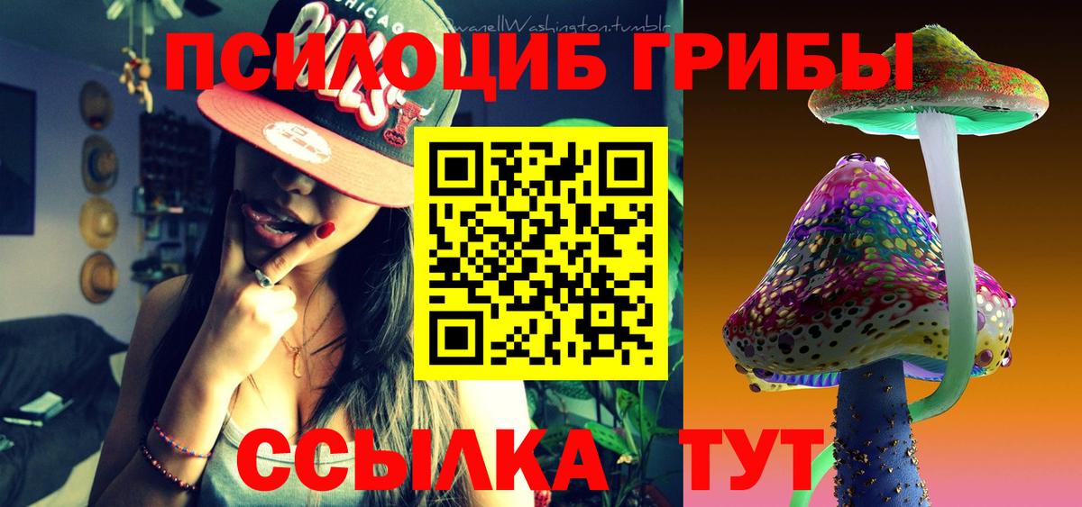 Галлюциногенные грибы MAGIC MUSHROOMS  Вход с VPN  Великий Новгород 