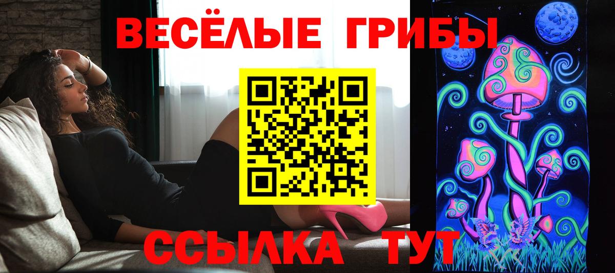 Галлюциногенные грибы ЛСД Великий Новгород