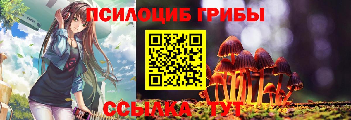 Псилоцибиновые грибы Psilocybe  Великий Новгород  Галлюциногенные грибы MAGIC MUSHROOMS 