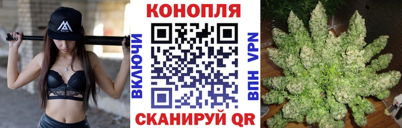 Бошки Шишки индика  купить наркотик  Великий Новгород 